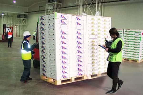 GezenAdam Ticari Hizmetlerimiz